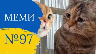 Прикольні приколи №97 | Найкращі відео з тік ток