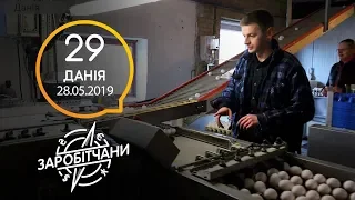 Заробітчани - Дания - Выпуск 29 - 28.05.2019
