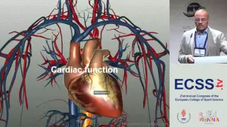 Cardiovascular Function during Exercise - The Spinal Cord Injury Model - Prof. Theisen