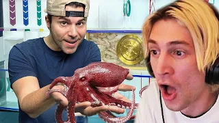 Octopus vs Underwater Maze | xQc Reacts to Mark Rober