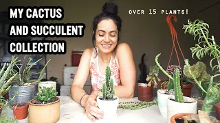 House Plant Tour, Cactus and Succulents