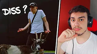 ELAI KA BO DISS ?! ELAI - CA DONI ? - REACTION