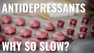 Why do antidepressants take so long to work?