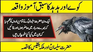 Story of Hazrat Suleman And Hudd Hudd Bird In Urdu Hindi