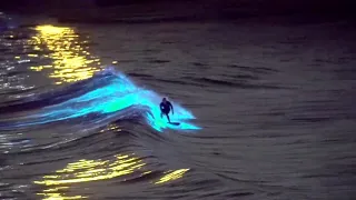 San Diego Night Surf showing Red Tide algae bloom bioluminescence