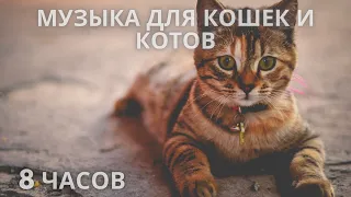 #91🐱Музыка для кошек и котов🐱  Успокойте ваших кошек музыкой, помогите котам спать