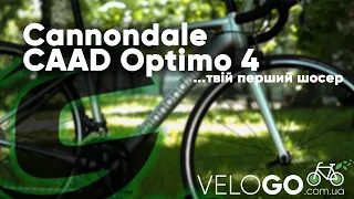 Cannondale CAAD Optimo 4 | Для міста і тренувань