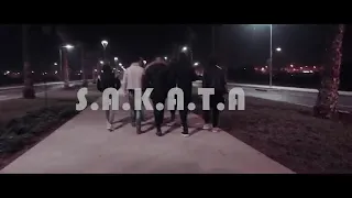 lferda.sakata.video clip