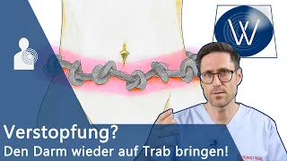 Verstopfung: Kennen Sie diese Ursachen und Tipps? Erste Hilfe bei Obstipation und träger Verdauung