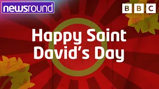 What is St David's Day? Everything you need to know | Newsround