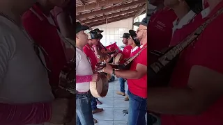 canto de esmola folia do Divino Espírito Santo 2022