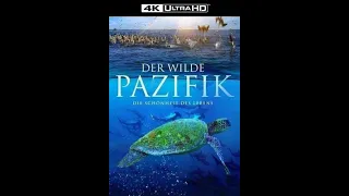 Дикий Тихий океан - Красота Жизни / The Wild Pacific - The Beauty of Life  4К