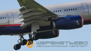 PlaneSpotting in Moscow, Sheremetyevo Airport. CLOSE UP Aircraft landing | 2022