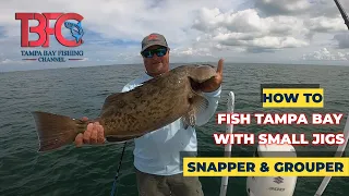 Tampa Bay Fishing with Small Jigs for Grouper and Snapper!