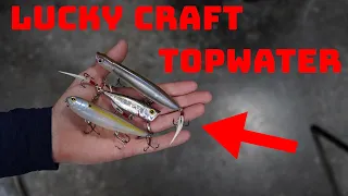 Breaking Down The Entire Lucky Craft Topwater Lineup!