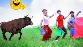 Must Watch New Special funny video 2024😋 Totally Amazing Comedy Episode 35 By Bindas Fun Binodon