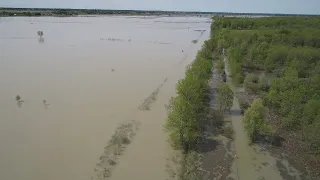 La semaine verte | Plaine inondable. Attention : Fragile!