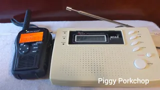 EAS Required Weekly Test NOAA Weather Radio KEC65 (ShareCom WRP-50 Edition!)