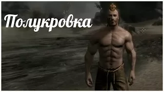 Эндерал - Полукровка ( enderal 1),  прохождение на русском от oldgamer