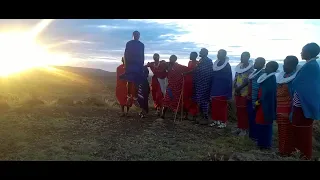 Original Maasai Lodge Tanzania - Africa Amini Life