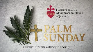 5:00 pm Palm Sunday Vigil Mass - April 9, 2022