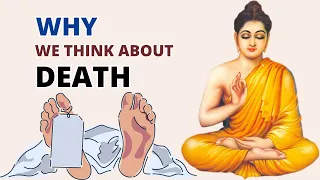 WHY WE THINK ABOUT DEATH - Why We Ponder Death: A Buddha's Motivational Guide