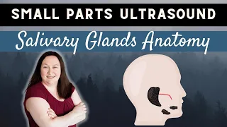 Small Parts Ultrasound | Salivary Glands Anatomy
