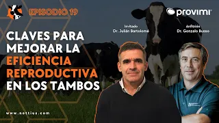 #19 -Claves para mejorar la eficiencia reproductiva en los tambos - Dr. Julián Bartolomé - Dairycast