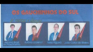 01 Loucura do Chico  - Os Gauchinhos do Sul pra cantar e dançar