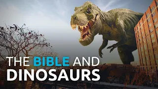 How Should Christians Feel About Dinosaurs?