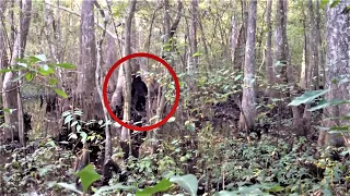 Impressive Bigfoot / Skunk Ape sighting in Mississippi - video from 2013.