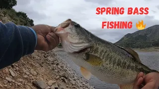 Mid Spring Bass Fishing ( 1st Online Tournament) Fire Bite 🔥