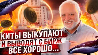 Я ПРОСТО НЕ ПОНИМАЮ, ПОЧЕМУ УПАЛ БИТКОИН ЕСЛИ КИТЫ ВЫКУПАЮТ? ТЕХНИЧЕСКИЙ АНАЛИЗ BITCOIN!