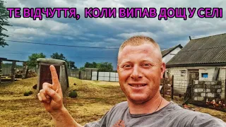 МІСЯЧНА НОРМА ДОЩУ ЗА ДЕНЬ😱‼️ НАРЕШТІ ВІН ВИПАВ🙏⛈️🥳‼️ ЧЕРЕШНЯ, ПОЛУНИЦЯ І ГОРОХ ВСЕ, ЩО МИ ЛЮБИМО🍒🍓🫛