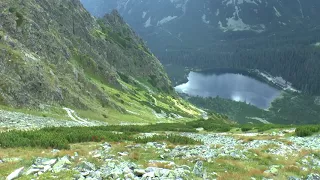 OSTERWA I POPRADZKI STAW SCHODZĄC Z OSTERWY 28 SIERPNIA 2014