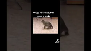 Funny Tik Tok/Приколы Тик Ток №157#shorts