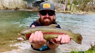 Townsend Tennessee Trout Fishing CATCH And COOK (Smoky Mountains)