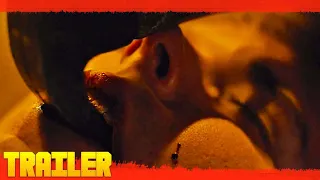 La Casa Del Terror (Haunt) (2019) Tráiler Oficial Español