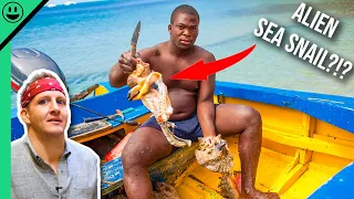 Bizarre Bahamas! Unseen Extreme ISLAND Seafood!!!
