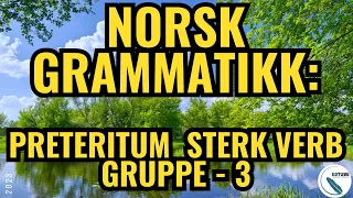 Norsk Grammatikk Preteritum Sterk Verb -3Norwegian Grammar Past Tense StrongVerbs-3 #norsk #grammar