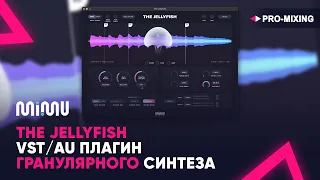 The Jellyfish : VST/AU плагин гранулярного синтеза