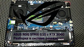 Разборка и система охлаждения ноутбука ASUS ROG STRIX G15 G513 с видеокартой RTX 3060