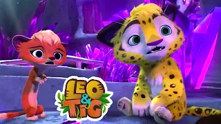 Leo & Tig - Episodes 1-3 Collection ⭐️ | Super Toons - Kids Shows & Cartoons