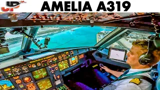 Amelia Airbus A319 Cockpit Ferry Flight half way across the World 🌍