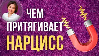 Почему я выбрала нарцисса. Почему мы влюбляемся в нарциссов.