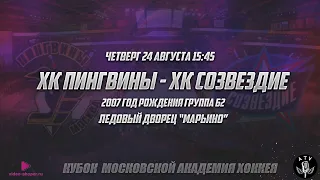 ХК ПИНГВИНЫ - ХК СОЗВЕЗДИЕ 2007 ГОД 15:45