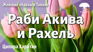 Урок для женщин. Раби Акива и Рахель: История великой любви. Ципора Харитан