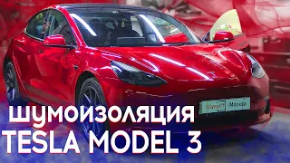 Полная шумоизоляция Tesla Model 3 | Нюансы при разборе