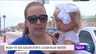 There's a rush to see Galveston's clear blue water