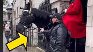 SILLY IDIOTS! DISRESPECTFUL TOURISTS Ignored the signs, provoked the king’s guard!!